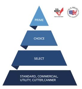 미국 소고기 등급표- 피라미드 형태로 상위 등급이 위에서 아래로 정렬되어 있다