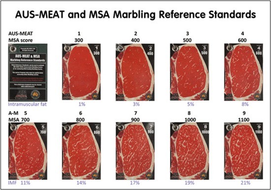 호주산 소고기 MSA등급표- 소고기 단면을 보며 마블링의 비율을 나누어 등급을 나누어 놓은 표